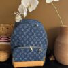 Louis Vuitton Denim Backpack