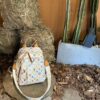 Louis Vuitton Mini Backpack - Cute Compact Style