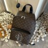 Louis Vuitton Sunflower Backpack