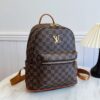 Louis Vuitton Backpack (Color Available Upon Request)