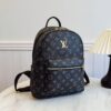 Louis Vuitton Backpack (Color Available Upon Request)