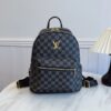 Louis Vuitton Backpack (Color Available Upon Request)
