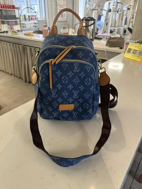 Louis Vuitton Backpack