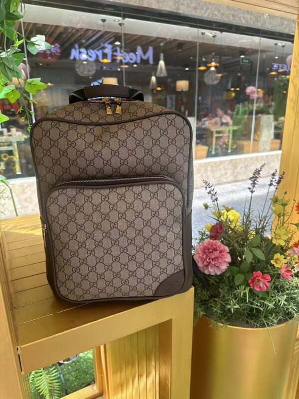 Louis Vuitton Backpack