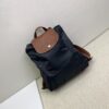 Longchamp Small Backpack (Please specify color if needed)