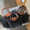 Longchamp Tote Bag (Please specify color if needed)