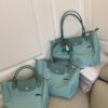 Longchamp Tote Bag